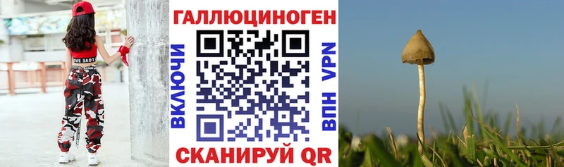 сайты даркнета как зайти  Комсомольск  Галлюциногенные грибы GOLDEN TEACHER  наркотики 